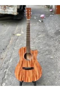 Guitar Acoustic HD18TL